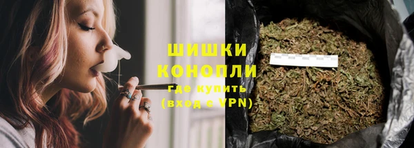 ПСИЛОЦИБИНОВЫЕ ГРИБЫ Вязьма