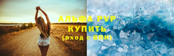 прущие крисы Вяземский