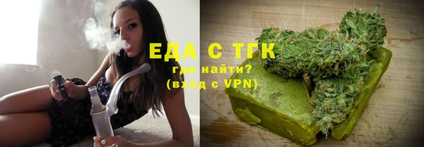 индика Каменногорск