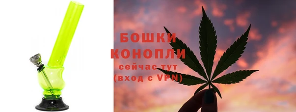 ПСИЛОЦИБИНОВЫЕ ГРИБЫ Вязьма