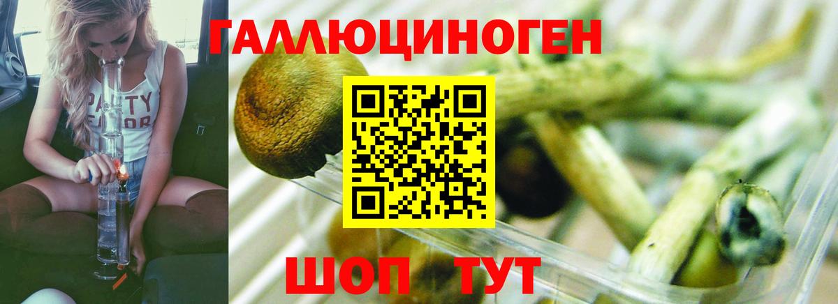 Псилоцибиновые грибы Magic Shrooms Новокузнецк
